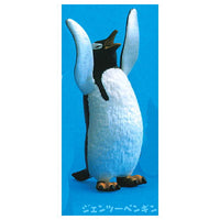 Banzai! Penguin [4.Gentoo penguin]