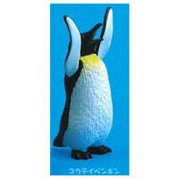 Banzai! Penguin [5.Emperor penguin]