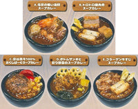 Okushiba Shoten Soup Curry Miniature [All 5 type set(Full Complete)]