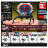 Peacock spider [All 5 type set (Full Complete)]