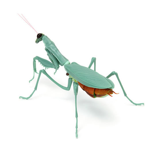 Mantis 02 Deroplatys [5.Mantis (dark green abdominal inflated version)]