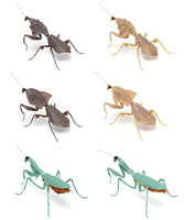 Mantis 02 Deroplatys [All 6 type set (Full Complete)]