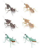 Mantis 02 Deroplatys [All 6 type set (Full Complete)]