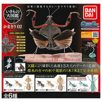 Mantis 02 Deroplatys [All 6 type set (Full Complete)]