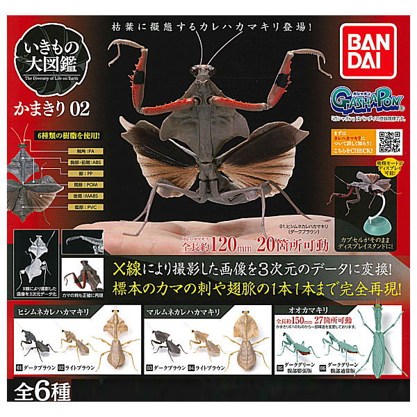 Mantis 02 Deroplatys [All 6 type set (Full Complete)]