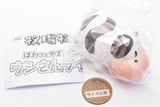 Story of Seasons howattoyasashikuhikaru Cow light [1.Cow]