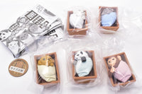 Baby animal and cradle [All 5 type set(Full Complete)]