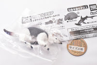 Capsule ANIA Nigiyaka Creature World! Part.2 [3.Southern Tamandua]