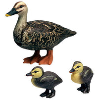 Capsule ANIA Nigiyaka Creature World! Part.2 [8.Spot-billed duck]