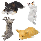 Nukunuku animal [Assorted 4 type set (1.Shiba inu/2.Welsh Corgi/3.Mikeneko/4.Kijitora)]