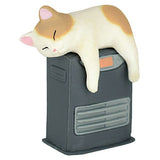 Danwotoru neko [1.Fan heater (black) and Chabuchi]