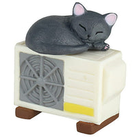 Danwotoru neko [5.Outdoor unit (white) and black cat]