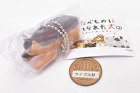 The dogs raised by foods Part.2 Mascot Ball chain [1.Shepherd raised in Eclair]