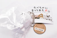 The dogs raised by foods Part.2 Mascot Ball chain [4.Bichon Frize raised in cotton candy]