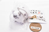 The dogs raised by foods Part.2 Mascot Ball chain [5.Pug raised in Mame Daifuku]