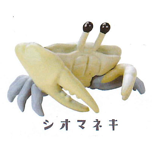 Cable Chokkin shiyoukani [5.Fiddler crab]