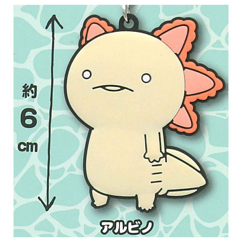 Life is axolotl rubber strap [1.Albino]