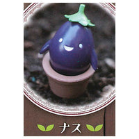 Mandrake collection [2.Eggplant]