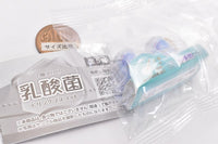2 pieces !! Probiotic drink mascot [5.Plane]