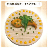 One plate lunch at an organic restaurant [3.Plate of organically farmed salmon]