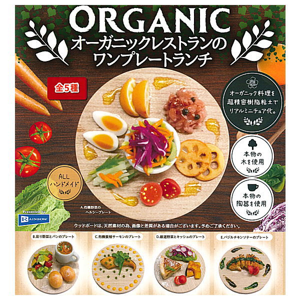 One plate lunch at an organic restaurant [All 5 type set(Full Complete)]