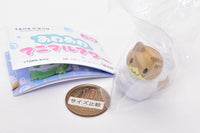 TAMA-KYU Awa Awa Animal Hour Figure Mascot [2.Cat]