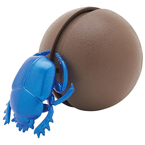 Korokoro Zenmai Dung beetle [3.Blue]