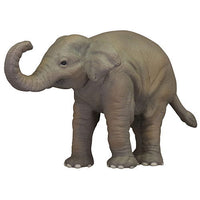 Capsule ANIA Nigiyaka Creature World! Part.3 [6.Asian elephant (child)]