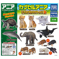 Capsule ANIA Nigiyaka Creature World! Part.3 [All 10 type set(Full Complete)]