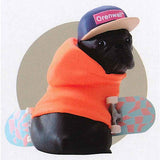 Only Wan ! Vol.1.5 [4.Dustin (French Bulldog)]