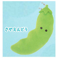 Tsuburanahitomino Bento Box Day 1 [2.Sayaendo]
