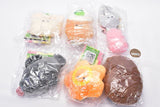 Tsuburanahitomino Bento Box Day 2 [All 6 type set (Full Complete)]