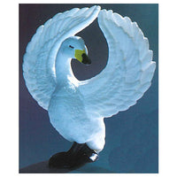 Odori dancing bird [1.Ballet swan]