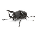 Beetle Gashapon 02 [1.Caucasus beetle]