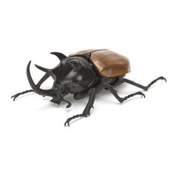 Beetle Gashapon 02 [2.Eupatorus]