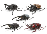 Beetle Gashapon 02 [All 5 type set(Full Complete)]