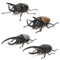 Beetle Gashapon 02 [Normal 4 type set(Rare is NOT including)]