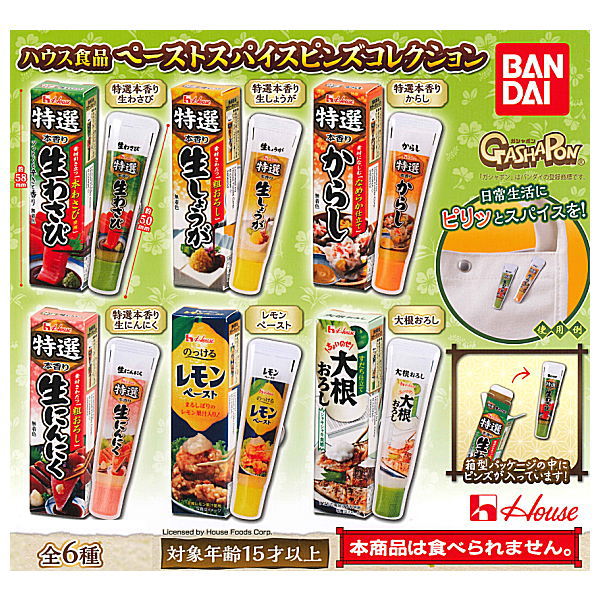 House Food Paste Spice Pins Collection [All 6 type set (Full Complete)]