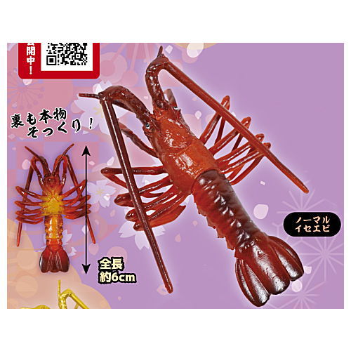 Real peel off! Punyu Punyu! Spiny lobster mascot Part.2 [1.Normal spiny lobster]