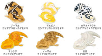 African fat-tailed gecko and bearded dragon Good night series [All 6 type set(Full Complete)]