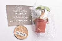 Wizarding World Magical Creatures Collection Special [4.Mandrake]