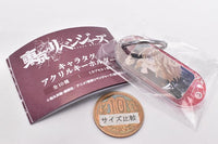 Tokyo Revengers Character Tag Acrylic Keychain [5.Manjiro Sano]