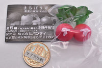Machiboke Vegetable Part.2 [5.Radish]