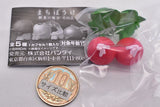 Machiboke Vegetable Part.2 [5.Radish]