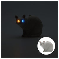 Cat's eyes are glowing in tha dark [1.White cat (odd eye)]