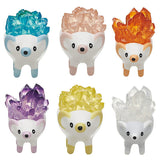 mineral hedgehog [All 6 type set(Full Complete)]