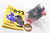 Pyon Pyon Zenmai Crow [3.Red-billed chough]