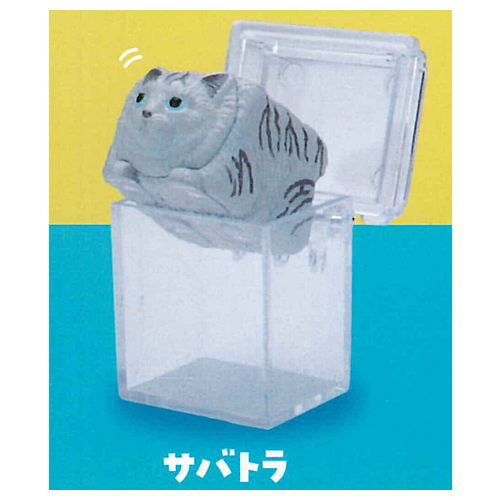 Cat cube [1.Sabatora]