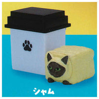 Cat cube [2.Siam]