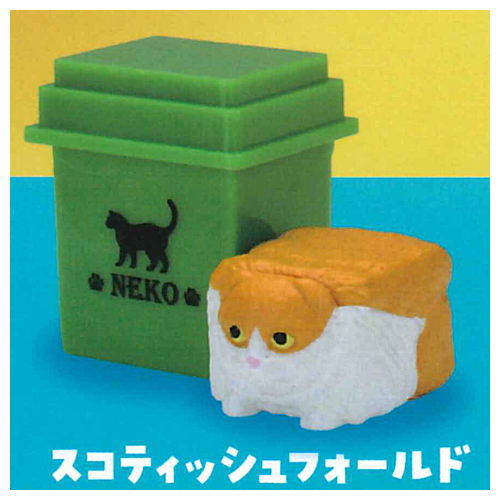 Cat cube [4.Scottish fold]